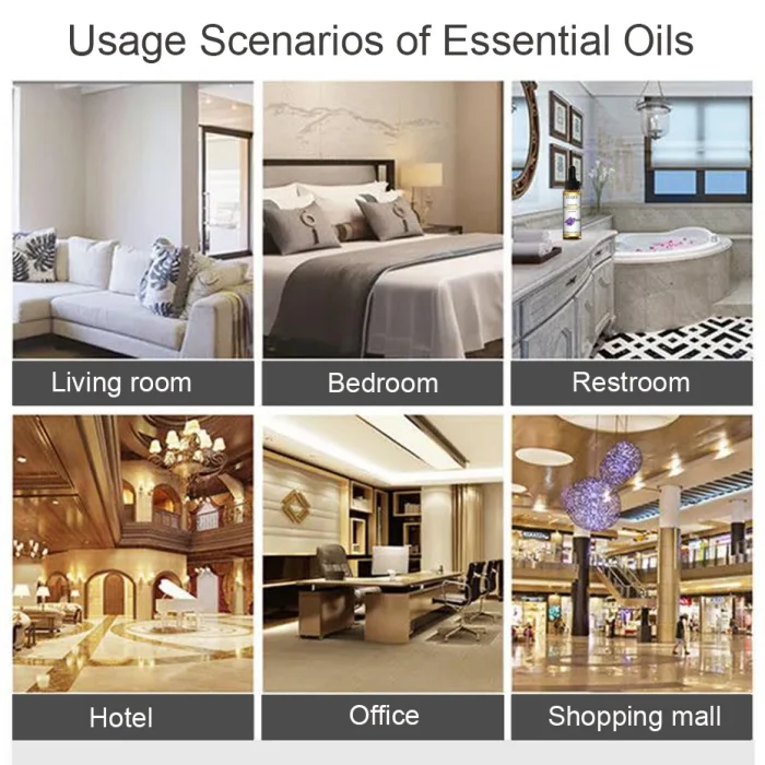 EUQEE 10ml Natural Plant Essential Oil with Dropper For Diffuser Humidifier Lavender Jasmine Eucalyptus Vanilla Essential Oils - Image 47