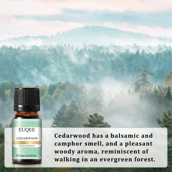 EUQEE 10ML Coconut Vanilla Bubble Gum Fragrance Oil For Making Candle, DIY Soap Coffee Cake Cedarwood Premium Aroma Oils - Image 25